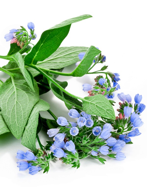 SIX CREAM TEINT CLAIR - 50ML