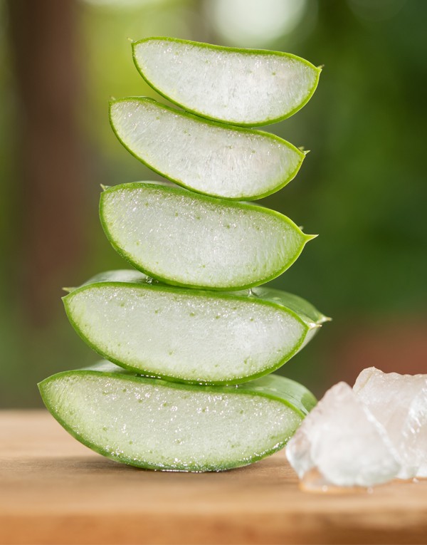 ROLL-ON OCEAN ÉCO - 50ML