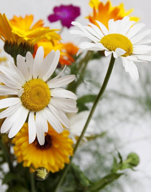 CRÈME MIRACLE - 250ML