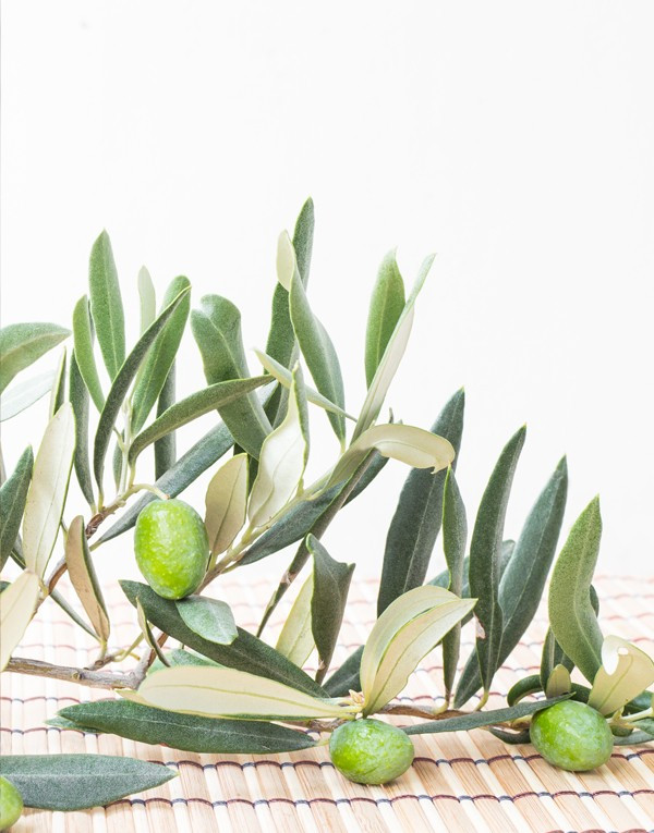 SHAMPOOING ANTI-PELLICULAIRE - 200ML