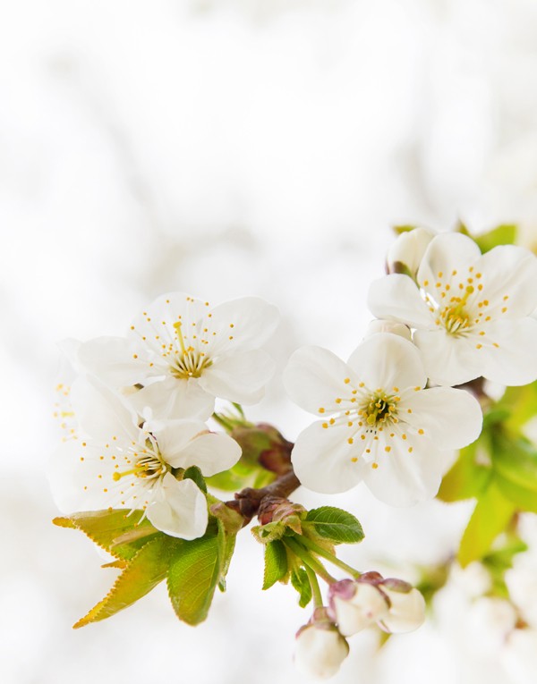 BRUME RAFRAÎCHISSANTE / SUN PROTECT - 100ML