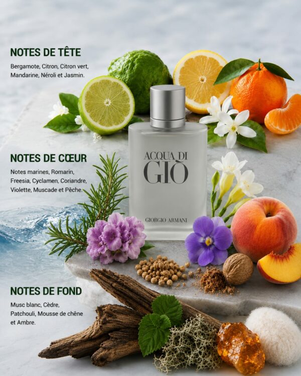 Giorgio Armani ACQUA DI GIÒ tunisie 50ml 100ml top parfum homme tunis tunisia perfume parfum ACQUA DI GIÒ Giorgio Armani